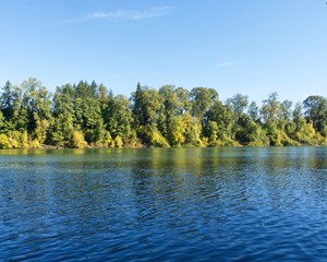 River with fall foliage trees in the background