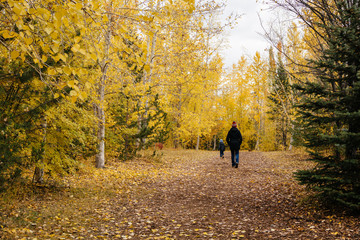 Mother and son walking in the park in Autumn