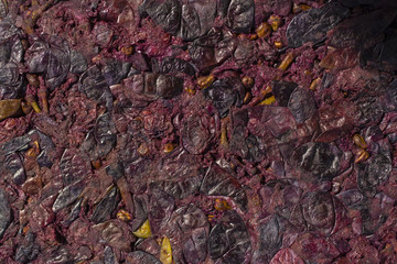 Wine-making. Technology of wine production. The folk tradition of making wine. Wine production in Moldova. The ancient tradition of grape processing.