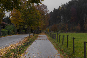 Footpath parallel to the  road