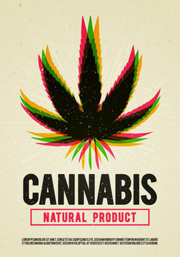 Vector medical cannabis plant, marijuana, weed poster design in grunge style. Natural product of organic hemp. For flyer and banner