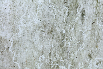 Dirty Sheet with traces of Moss