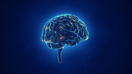 Animation of rotation human brain with flying data around. Animation of seamless loop. - Powered by Adobe