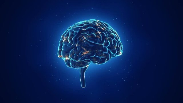 Animation of rotation human brain with flying data around. Animation of seamless loop. - Powered by Adobe
