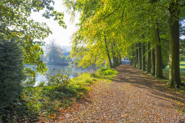 Fototapeta premium Trees in autumn colors along a stream in a meadow in sunlight at fall
