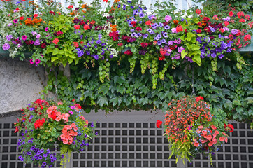 Fototapeta na wymiar Beautiful summer hanging baskets filled with color