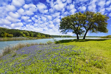 Foto op Canvas Texas Hill Country © Fotoluminate LLC
