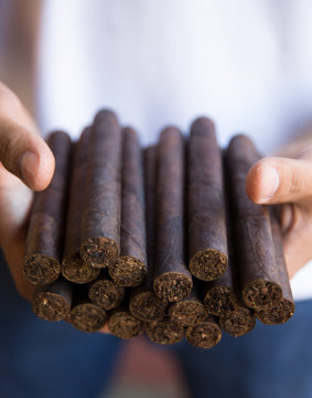Hand holding cigars.