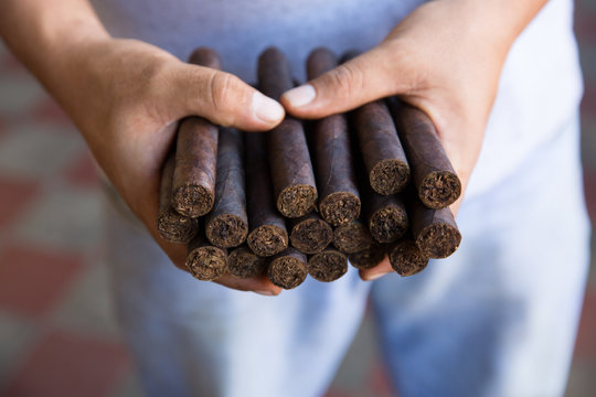 Hand holding cigars.