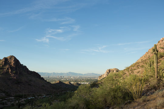 The Arizonian desert.