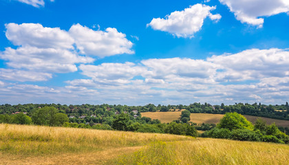 Fototapeta na wymiar Rural countryside landscape of Surrey