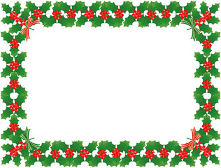 セイヨウヒイラギ3　フレーム