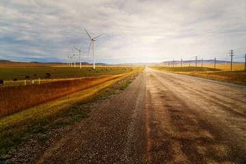 Rolgordijnen Cattle and wind turbines on the fields of southern Alberta, Canada. © V. J. Matthew