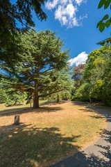Walking path in the Terrace GardensLondon