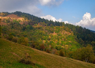 Autumn Foliage in Italy, Mottarone mountain with red leaves.