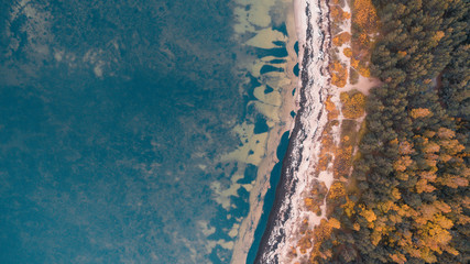 Top aerial drone view of the autumn beautiful wild beach Meremõisa full of vegetation, coast of the Baltic Sea in Estonia