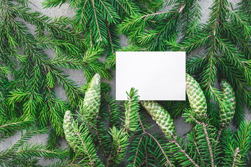 Blank white card and green fir branches