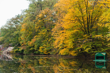 Obraz premium Dendropark Sofievka landscape