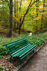Dendropark Sofievka landscape