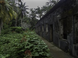 Fototapeta na wymiar Ruins of the old civilian hospital built by the Japanese on Tonoas Island, Chuuk State (also known as Truk Lagoon).