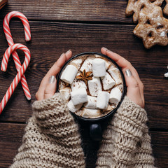 Cozy woman in knitted sweater with mug of hot chocolate. Relax, comfort, warming, Christmas, home concept