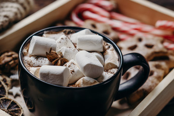 Warming sweet beverage, homemade hot chocolate with melting marshmallow and winter holiday sweets, close up. 