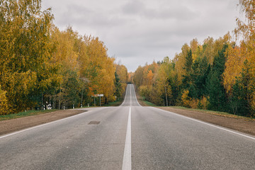 Fototapeta premium Long road out of asphalt near autumn yellow forest in cloudy weather.