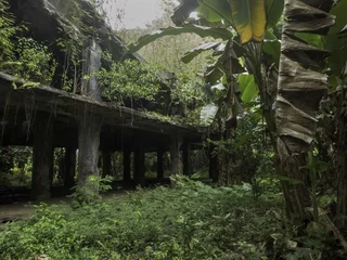 Fototapeten Überreste einer japanischen Militärkommandozentrale des Zweiten Weltkriegs auf der Insel Eten im Bundesstaat Chuuk (ehemals Truk Lagoon), Mikronesien © Rob