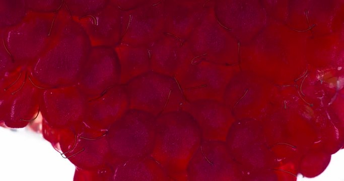 One Squeezed Raspberry Gives Juice. Raspberries are compressed and crushed close-up on a bright white background, creating a juicy burst of pulp and a bright shell. Shooting at 120fps