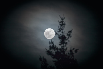 Full moon in night