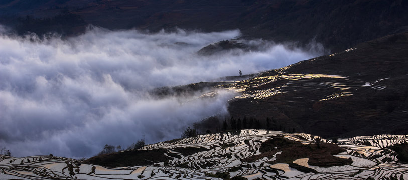 Irrigated Rice Terrace Fields in Yuanyang County - Yunnan Province, China. Water filled terraces, reflecting the sky in symmetrical patterns. Duoyishu terraces, sea of clouds and water reflections.