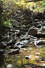 Naklejka premium Lights Creek California