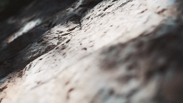 Najat Images Browse 9 Stock Photos, Vectors, and Video Adobe Stock