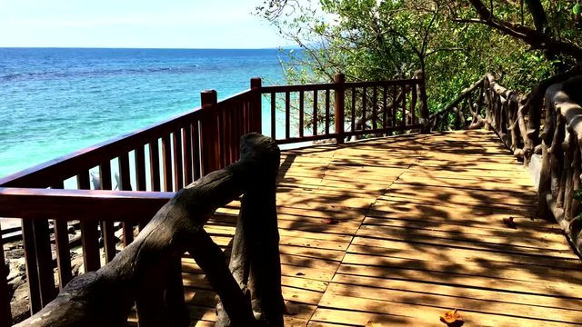 Trees clear blue skies 4k