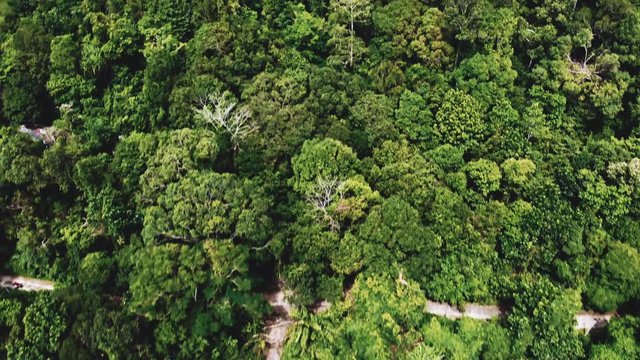 Camera flying over tropical forest. Thailand aerial footage