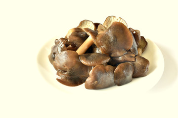 茹でたハタケシメジ