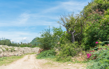 Fototapeta premium Green Tree on Small Mountain and Mound or Pile on Blue Sky BG