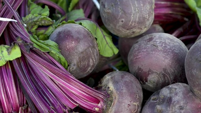 Fresh beet on display for sale at market. Panoramic plan