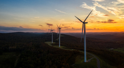 Obraz premium Wind Into Tomorrow