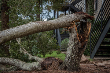 Destruction from Hurricane Michael 
