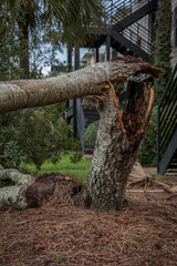 Destruction from Hurricane Michael 