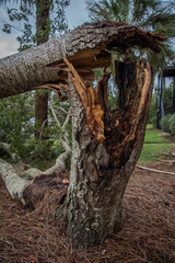 Destruction from Hurricane Michael 