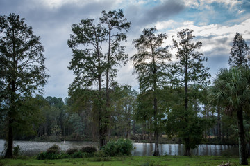River Sunrise after Hurricane Michael 