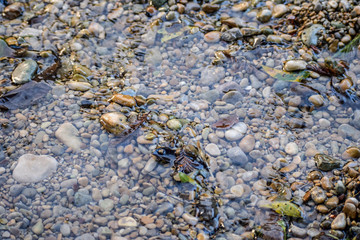 Pebbles in the Sand