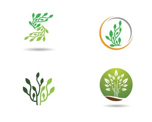 Ecology logo illustration
