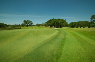 Fototapeta na wymiar Tranquil and clean green beautiful golf field .