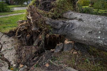 Obraz premium Destruction from Hurricane Michael 