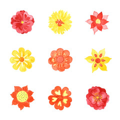 Set of Various Watercolor Blooming Flowers Isolated on White Background