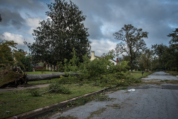 Destruction from Hurricane Michael 