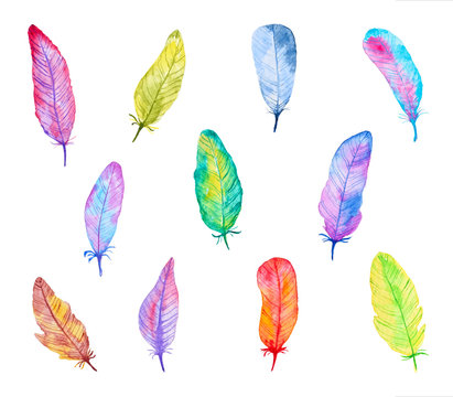 Set of Colorful Watercolor Feathers. Hand Drawn and Painted. Isolated on White Background. Part 1